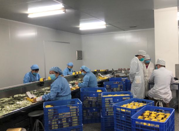 【初心如磐，使命在肩】1277星际电子游戏第三党支部组织员工提前复工保险出产