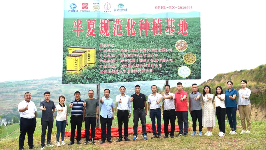 白云山1277星际电子游戏公司实地调查调研中药材规范化基地